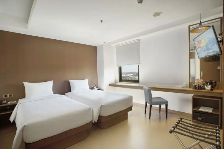 Superior Twin room with city view