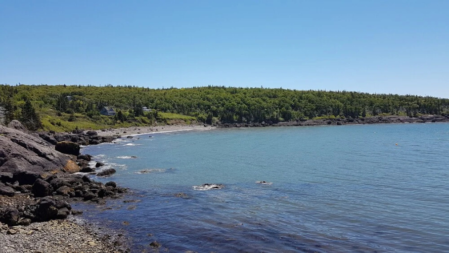 Whale Cove Inn