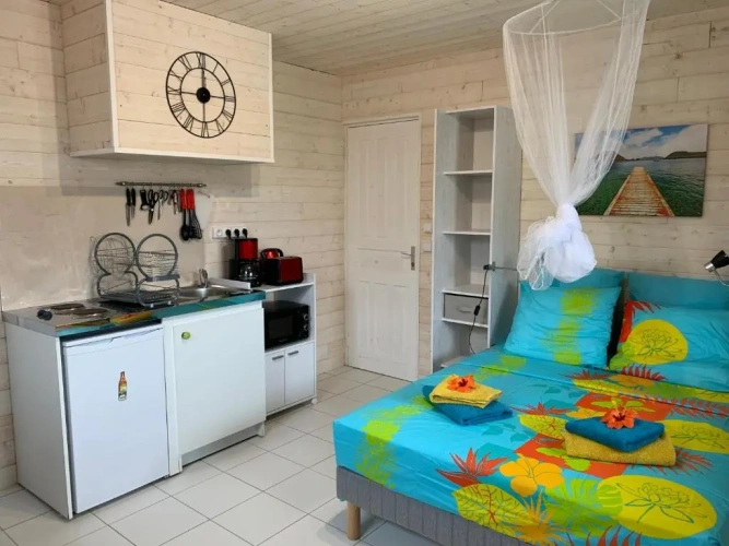 1 Bedroom Apartment