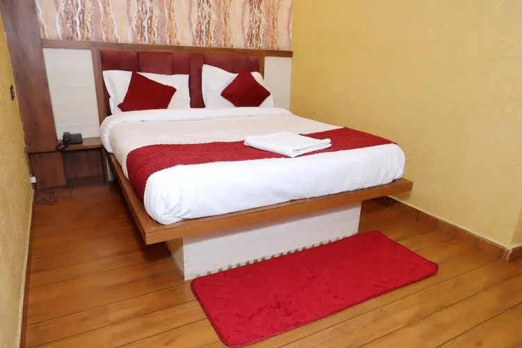 Hotel Shree Mani Residency