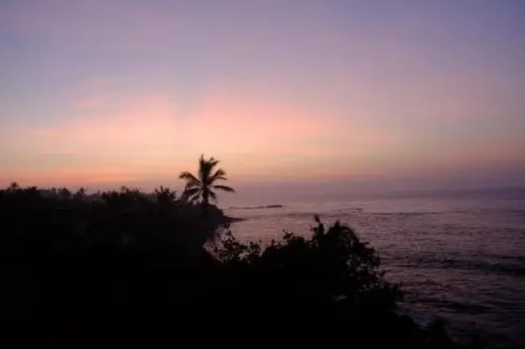 Jayanthi Surf Dreams