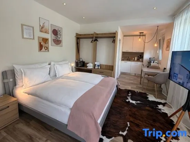 1 Bedroom Studio