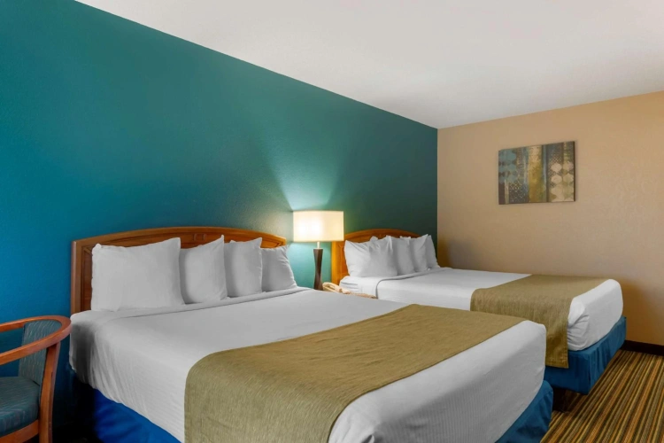 Guest rooms