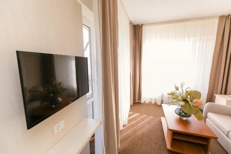 1 Bedroom Suite