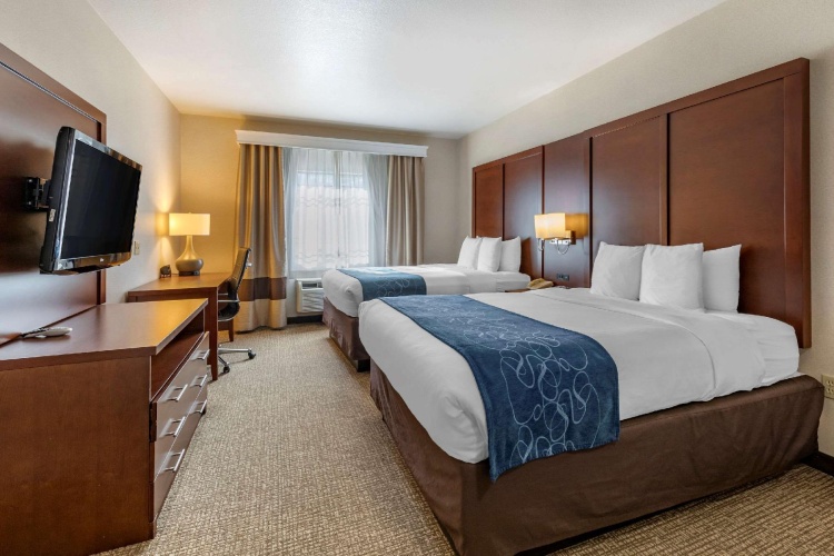 Quadruple Suite