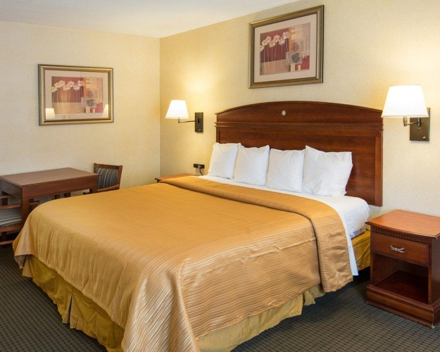 Comfort Inn & Suites Bwi Airport photo 7