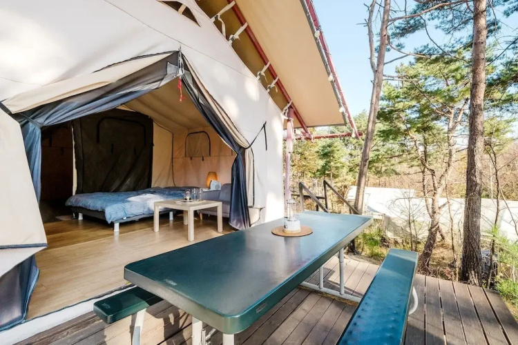 Sokcho Starry Night Glamping