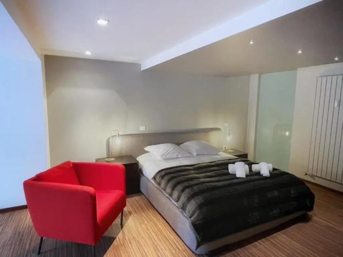 Standard Penthouse room