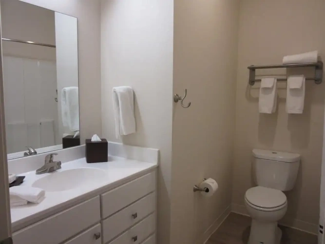 1 Bedroom Suite