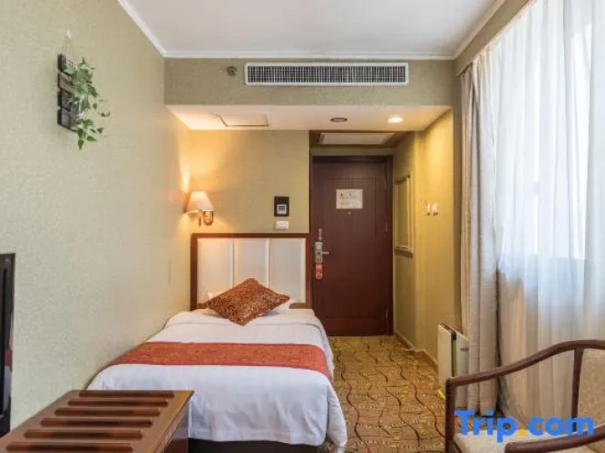 Standard Single room with city view