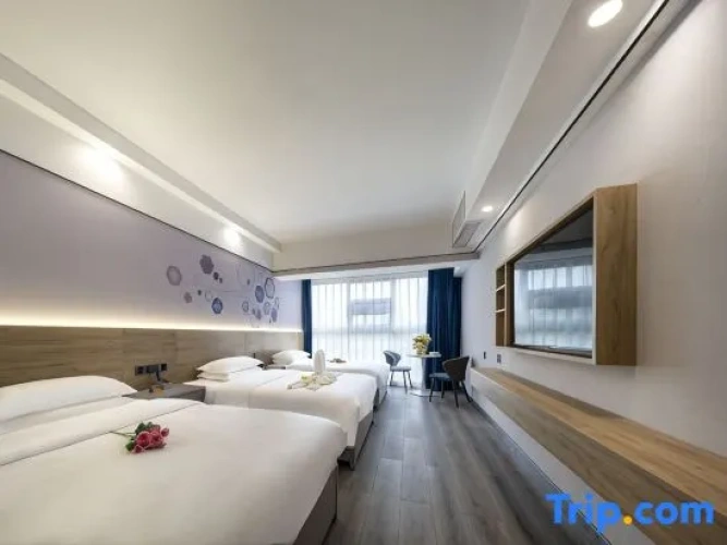 Standard Triple Family room