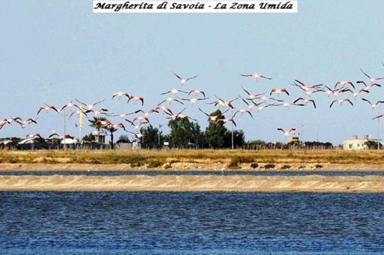 Tenuta San Francesco photo 17