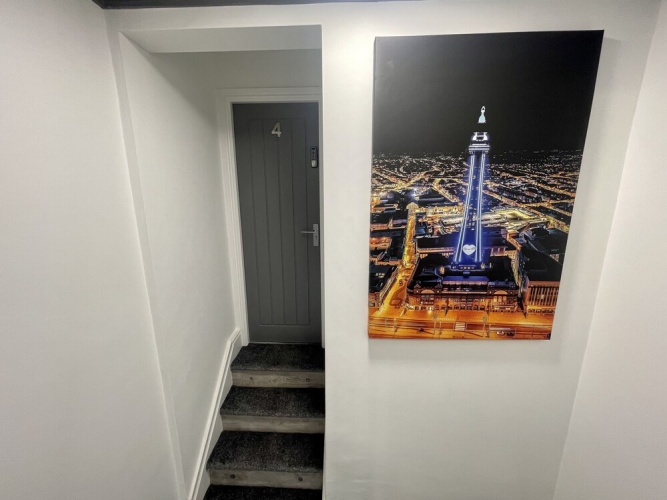 Basement Suite