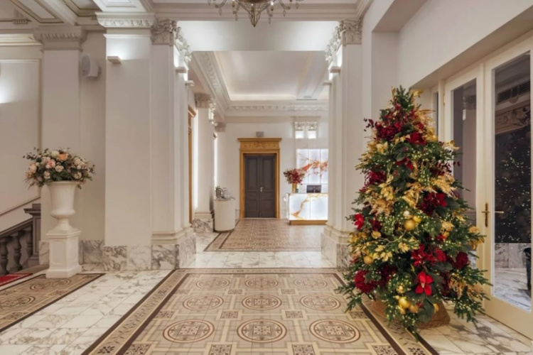 Aurea Ana Palace photo 14