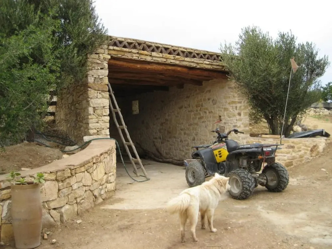 Domaine l'oliveraie