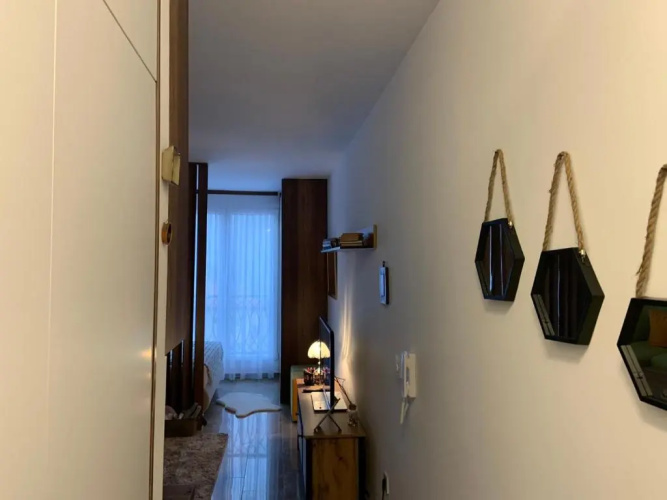 Apartment Aria