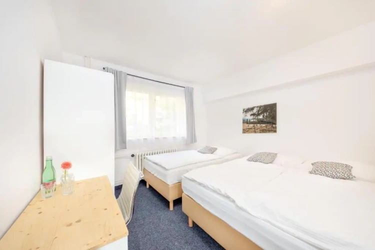 Economy Triple room with mountain view