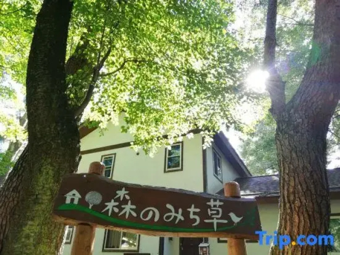 Mori No Michikusa