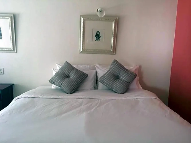 Standard Double room with garden view