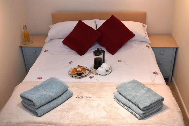 1 Bedroom Classic Apartment
