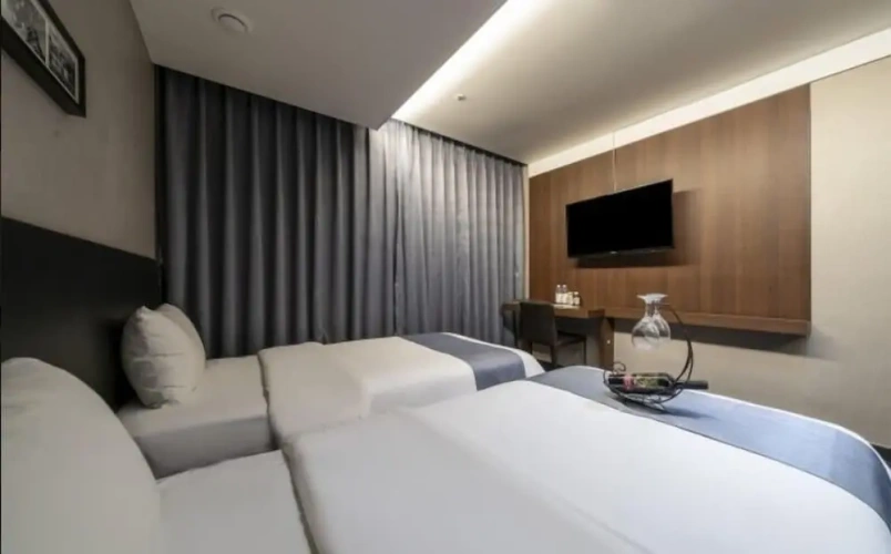 Standard Twin room with city view