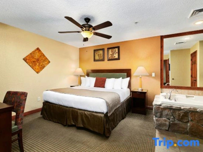 1 Bedroom Standard room