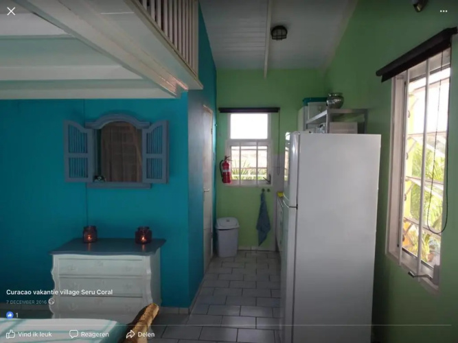 Droomstudio seru coral 32