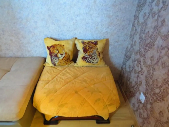 Apartment on Prokopheva st.