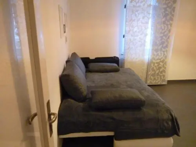 The modern apartment