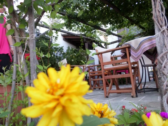 Studio with garden view