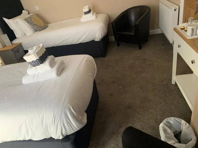 Deluxe Twin room