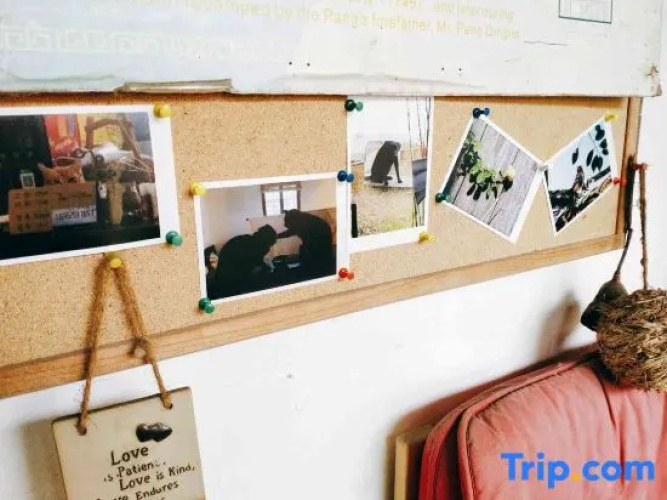 Xiaoya Youth Hostel
