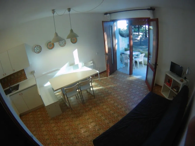 1 Bedroom Family Basement Apartment