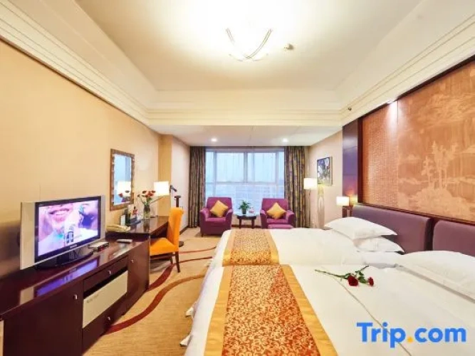 Executive Twin room