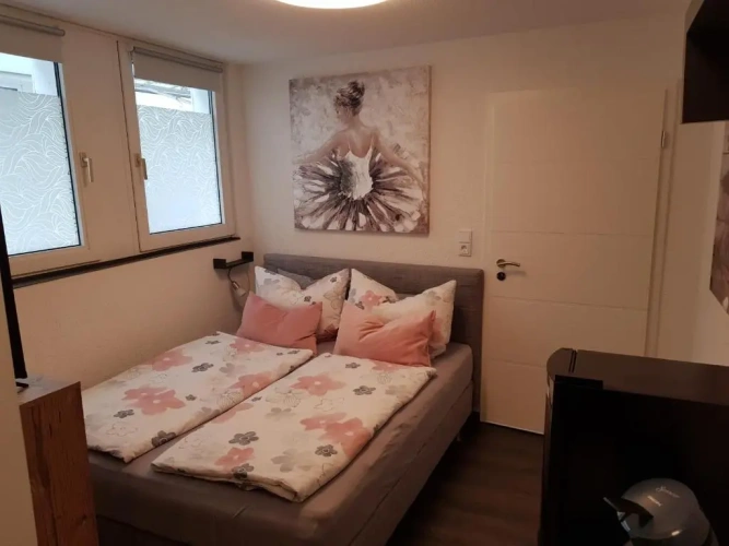 Standard Single Basement room