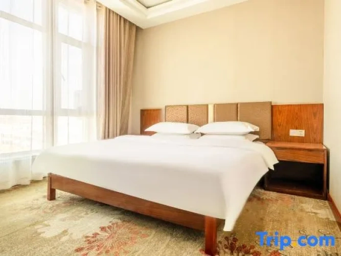 1 Bedroom Standard Double room