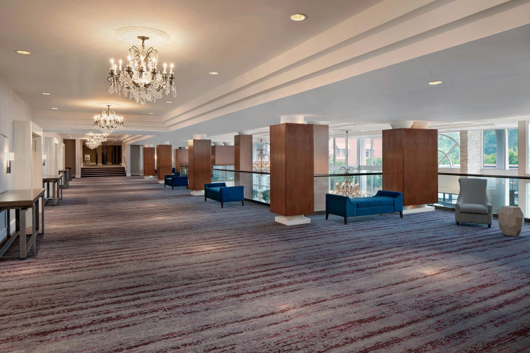 The Westin Governor Morris, Morristown photo 16