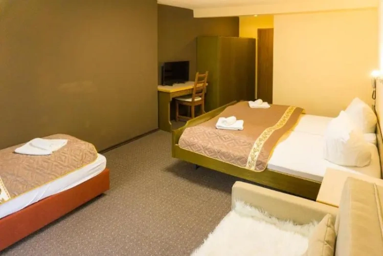 Standard Twin room with balcony and with view