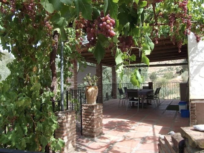 El Olivo Comares