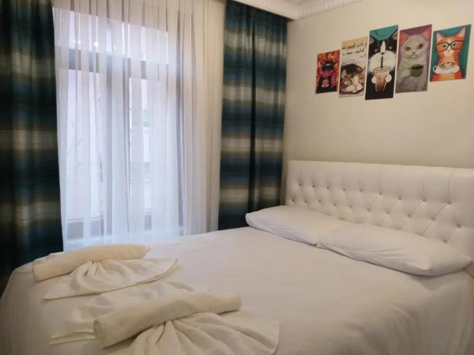 Superior Apartment