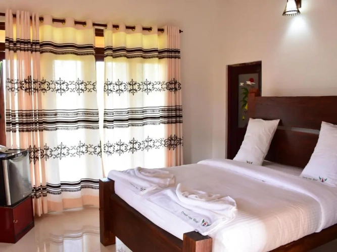 Deluxe Double room with balcony