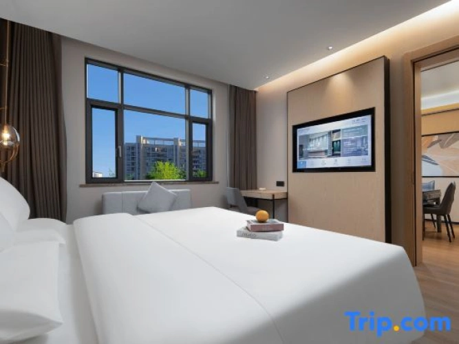 Standard Suite