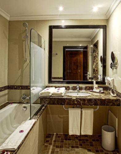 Palm Plaza Hotel & Spa photo 11