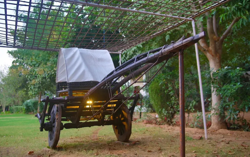 Tiger Machan