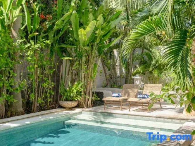Ocean Luxury Villas