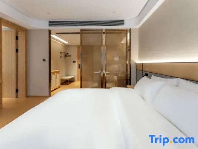 Comfort Suite