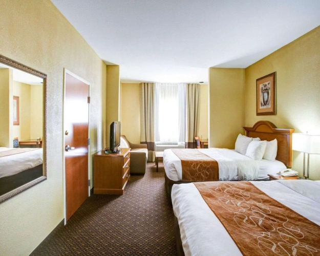 Quadruple Suite