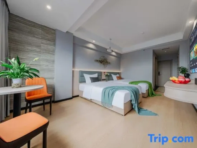 Standard Double room with city view