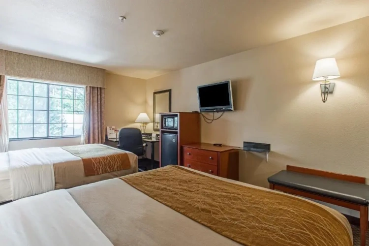 Standard Quadruple room