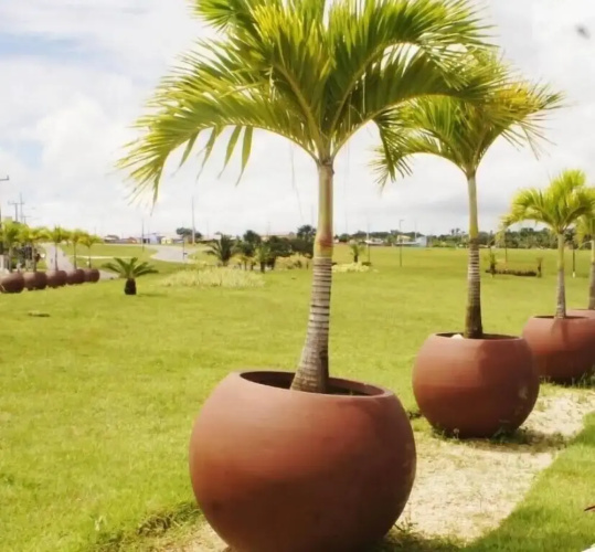 Guará Praia Hotel